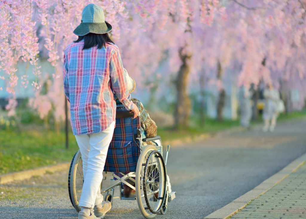 桜を見ながら親を車いすを押す娘の姿