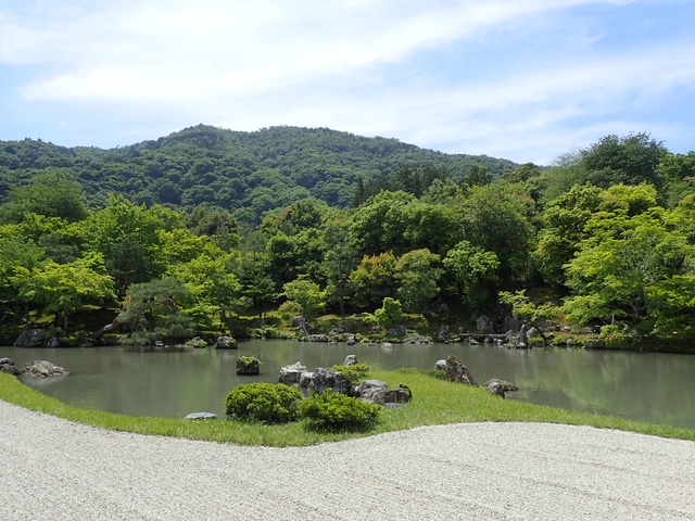 京都の新緑が映る池と庭園の風景