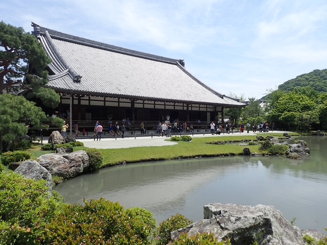 新緑に包まれる天龍寺の大きな池泉回遊式庭園