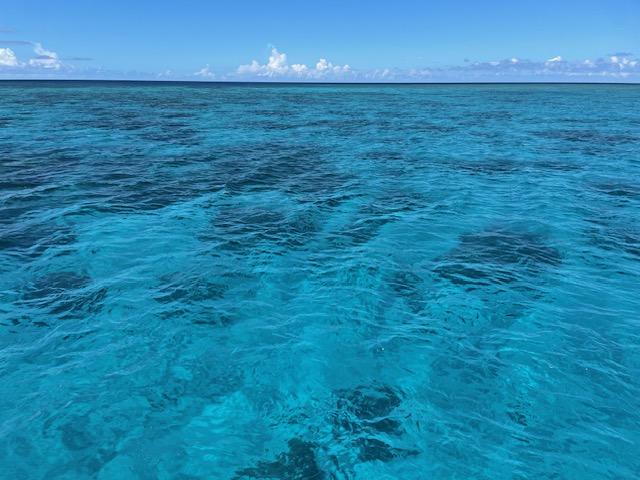 西表島の透き通る青い海