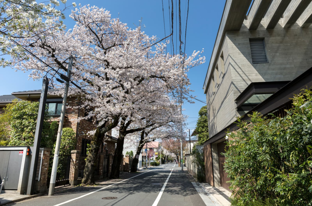 世田谷区成城の街並み