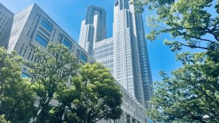 木漏れ日の中の東京都庁の外観
