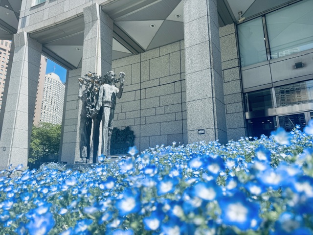 東京都庁の敷地に咲くネモフィラと彫刻
