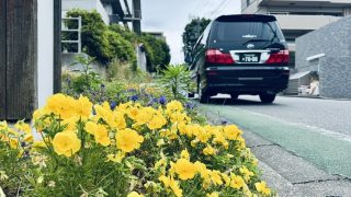 南町田病院の花壇と福祉介護タクシー車両